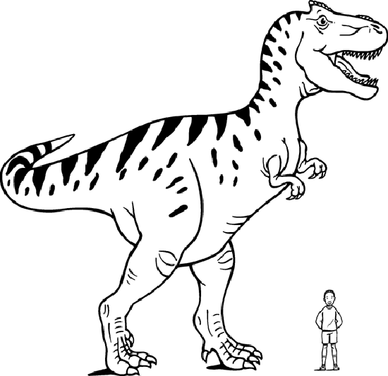 tiranosaurio-dibujo-colorear-dinosaurios-bebeazul.top (1)