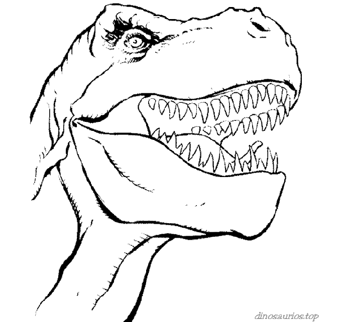 tiranosaurio-dibujo-colorear-dinosaurios-bebeazul.top (4)