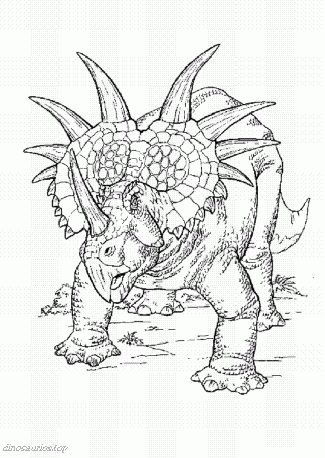 triceratops-dibujo-colorear-bebeazul.top (8)